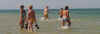 shallows.jpg (30814 bytes)