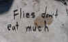 eatmuch.jpg (93650 bytes)