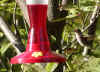 hummer5.jpg (100122 bytes)